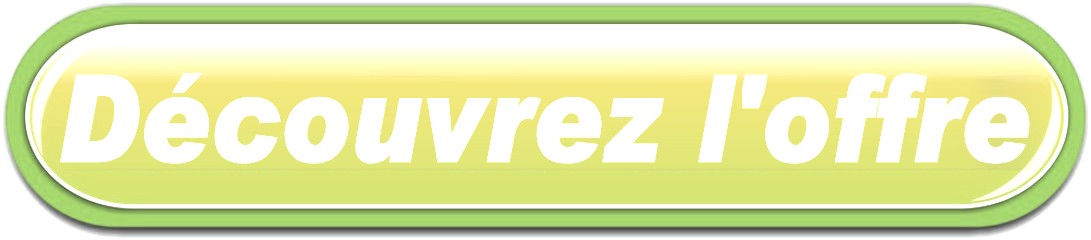 BOUTON LIVRAISON FLEURS A VILLEMOUTIERS