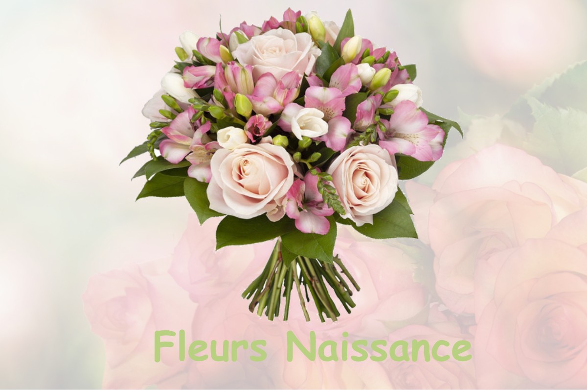 fleurs naissance VILLEMOUTIERS