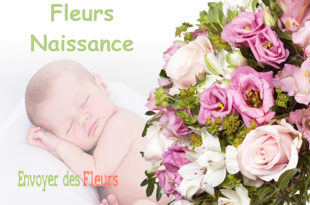 lIVRAISON FLEURS NAISSANCE à VILLEMOUTIERS